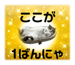 712070311