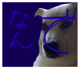 712122005
