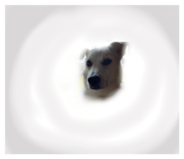 712122021