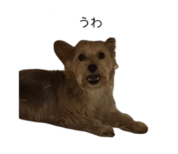 712126596