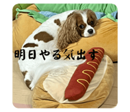 712177215