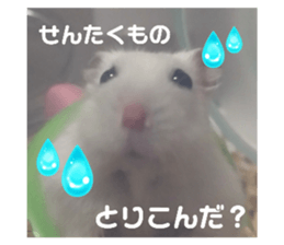 712185040