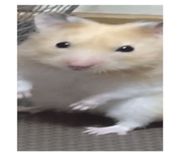 712185050