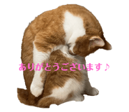 712276414