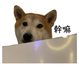 712288307