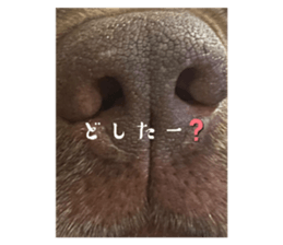 712303640