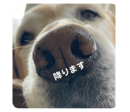 712304892