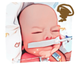 712333204