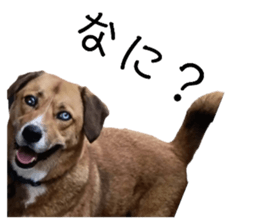 712351723