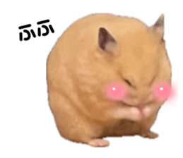 712361507