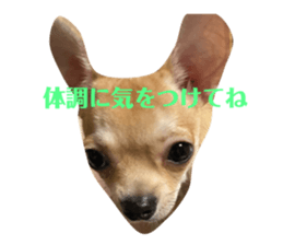 712366869