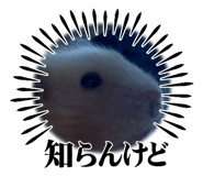 712371236