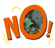 712371238