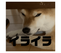 712371919