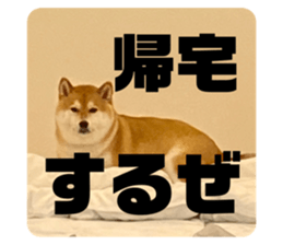 712371927