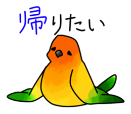 7123935