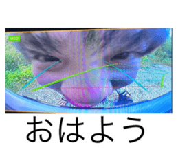 712396932