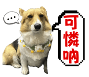 712399718