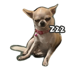 712405062