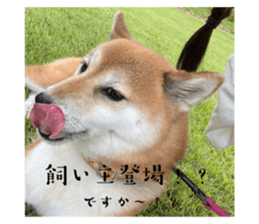 712416506