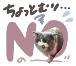 712419066