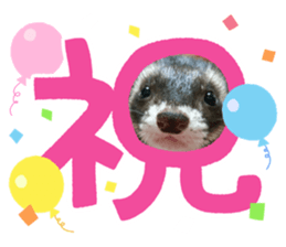712428587