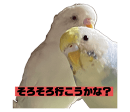 712429382