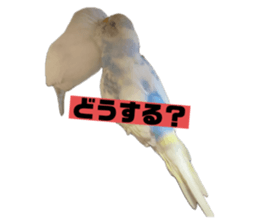 712429385
