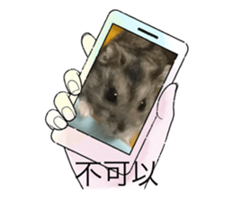 712456224