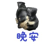 712499651