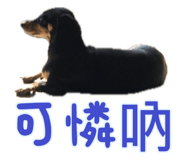 712499659