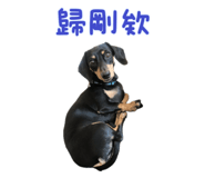 712499666