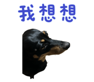 712499673