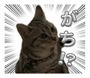 712523113