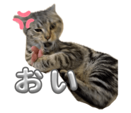 712523116