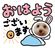 712546595