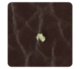 712549492