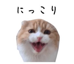 712573639