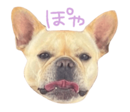 712606654