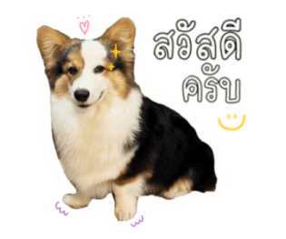 นปโปะหม่ำๆ รูปที่ 1