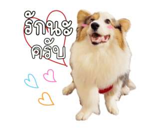 นปโปะหม่ำๆ รูปที่ 7