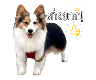 นปโปะหม่ำๆ รูปที่ 8