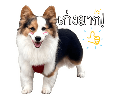 ลายที่ 8