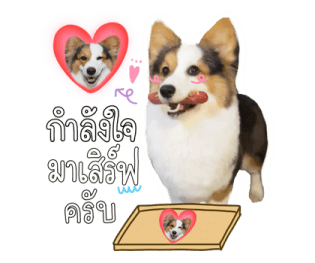 นปโปะหม่ำๆ รูปที่ 10