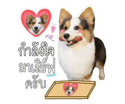 ลายที่ 10