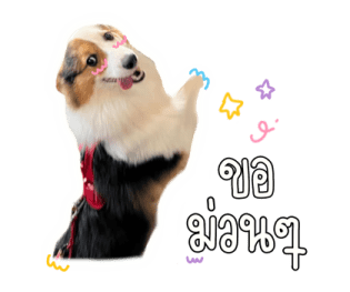 นปโปะหม่ำๆ รูปที่ 11
