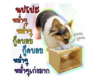 นปโปะหม่ำๆ รูปที่ 12