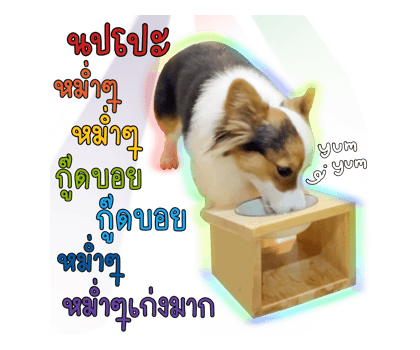 ลายที่ 12