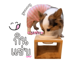 นปโปะหม่ำๆ รูปที่ 13