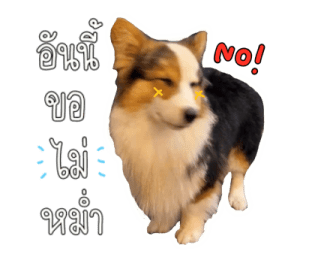 นปโปะหม่ำๆ รูปที่ 15